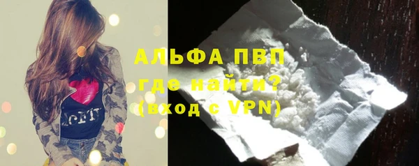 спайс Нея